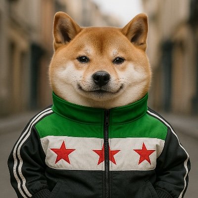 Free Syrian Memes avatar