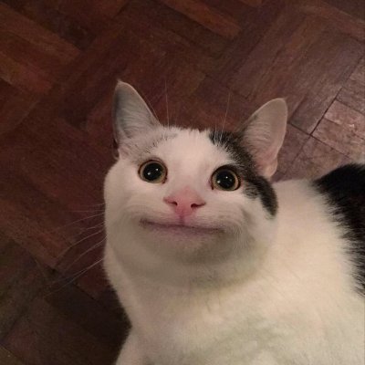 GoonBoy3D(COMMISSIONS ARE OPEN) avatar