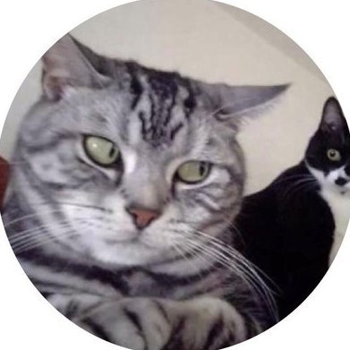 みそにこみおでん avatar