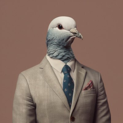 鳩屋 avatar