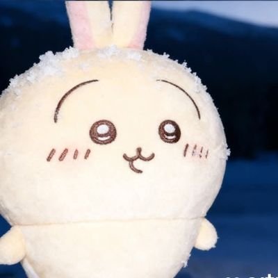 ซ้ง avatar